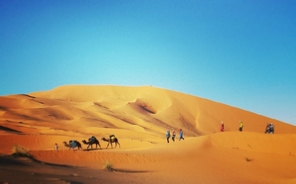 Morocco Rabat Tours / Morocco Tours / Casablanca To Rabat Excursion / Morocco Desert Tour / Trips To Morocco / Travel To Morocco