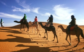 Morocco Rabat Tours / Morocco Tours / Casablanca To Rabat Excursion / Morocco Desert Tour / Trips To Morocco / Travel To Morocco