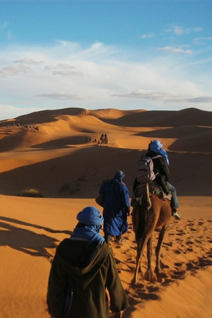 Morocco Rabat Tours / Morocco Tours / Casablanca To Rabat Excursion / Morocco Desert Tour / Trips To Morocco / Travel To Morocco