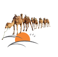 Morocco Sahara Holiday Logo